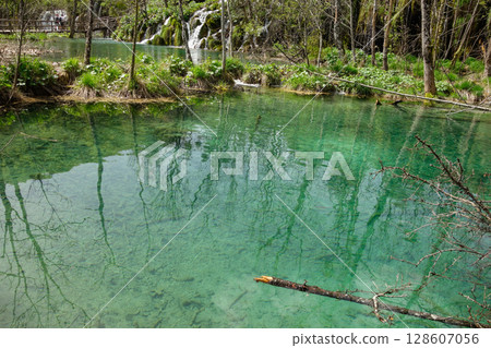 spectacular waterfalls and lakes of Plitvice Lakes National Park, in Croatia 128607056