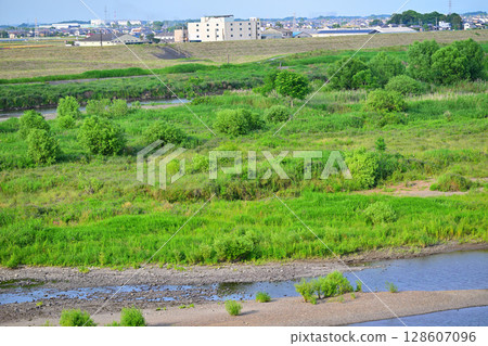利根川:昭和橋下游的初夏風景 利根川:昭和橋下游的初夏風景 128607096
