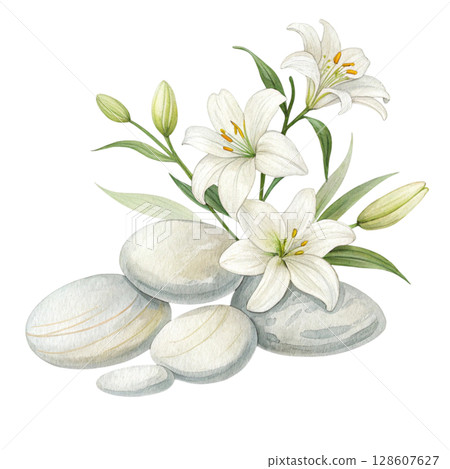 Rocks flowers minimalist Clipart watercolor  128607627