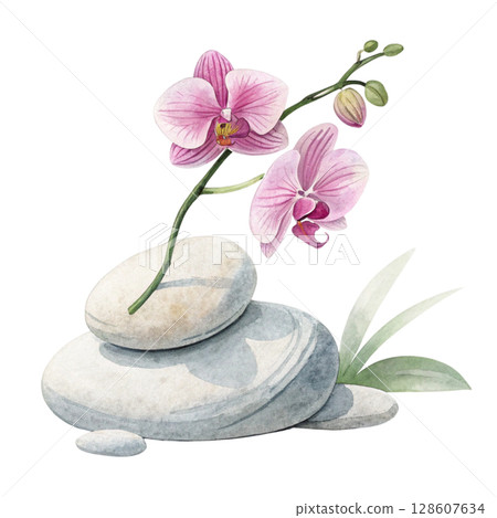 Rocks flowers minimalist Clipart watercolor  128607634