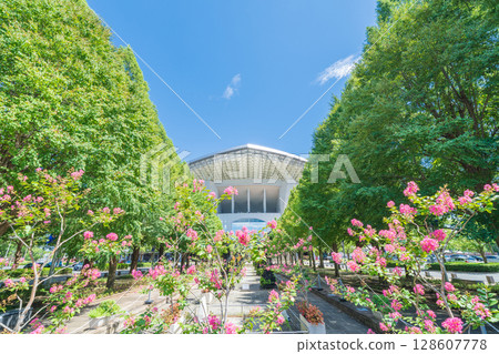 "Saitama Prefecture" Saitama Stadium 2002 and park summer scenery "Saitama Prefecture" Saitama Stadium 2002 and park summer scenery 128607778