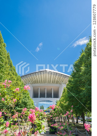 『埼玉縣』埼玉體育場2002年和公園的夏季風景 『埼玉縣』埼玉體育場2002年和公園的夏季風景 128607779