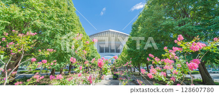 "Saitama Prefecture" Saitama Stadium 2002 and park summer scenery 128607780