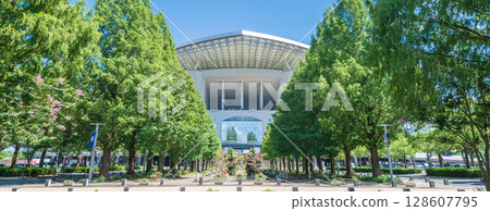 "Saitama Prefecture" Saitama Stadium 2002 and park summer scenery 128607795
