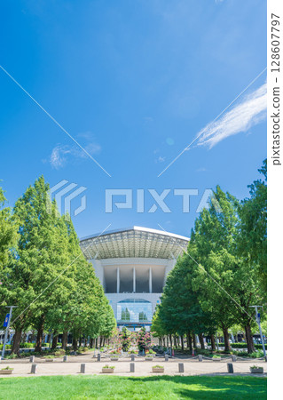 "Saitama Prefecture" Saitama Stadium 2002 and park summer scenery "Saitama Prefecture" Saitama Stadium 2002 and park summer scenery 128607797