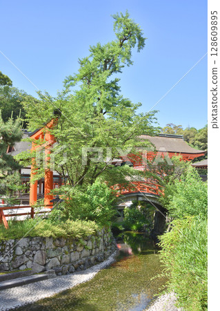 Shimogamo Shrine's Mitarishi River 128609895
