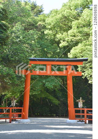 Torii of Shimogamo Shrine 128609898