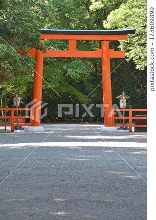 Shimogamo神社的鳥居 128609899