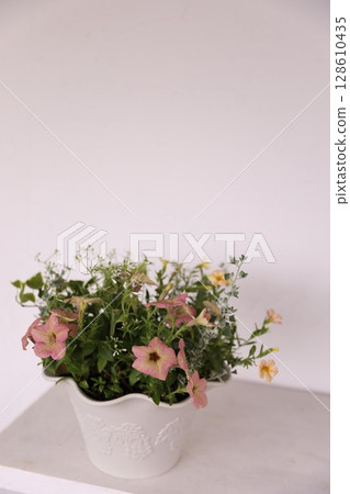 種植 種植 128610435