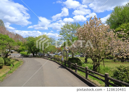宮城縣鹽釜市鹽釜神社 宮城縣鹽釜市鹽釜神社 128610481