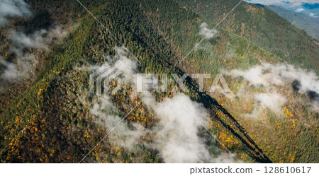 Aerial view of beautiful autumn forest landscape in the sunrise 128610617