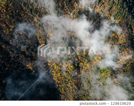 Aerial view of beautiful autumn forest landscape in the sunrise 128610620