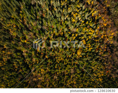 Aerial view of beautiful autumn forest landscape Aerial view of beautiful autumn forest landscape 128610630