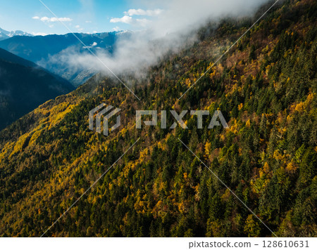 Aerial view of beautiful autumn forest landscape and snow capped mountains 128610631