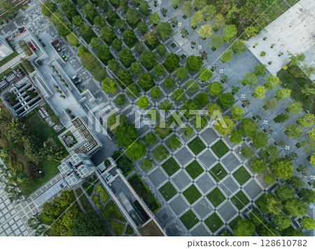 Aerial view of beautiful park landscape 128610782