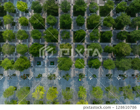 Aerial view of beautiful park landscape 128610786