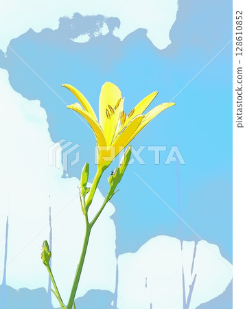Day sedges starting to bloom towards the blue sky (afr20250713154331) Day sedges starting to bloom towards the blue sky (afr20250713154331) 128610852