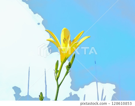 日生莎草開始向藍天綻放（afr20250713154317） 128610853