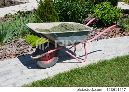 Mulching the topsoil on a vegetable bed with mowed grass from the lawn. production of biohumus organic fertilizer. Earth erosion. Mulching the topsoil on a vegetable bed with mowed grass from the lawn. production of biohumus organic fertilizer. Earth erosion. 128611237