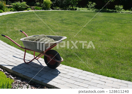 Mulching the topsoil on a vegetable bed with mowed grass from the lawn. production of biohumus organic fertilizer. Earth erosion. 128611240