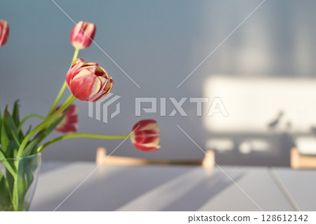 Sunlit pink tulips in a minimalist glass vase on a white table with soft shadows Sunlit pink tulips in a minimalist glass vase on a white table with soft shadows 128612142