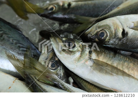 Fresh horse mackerel Fresh horse mackerel 128612210