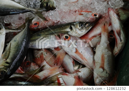 Landed rosy seabass and horse mackerel 128612232