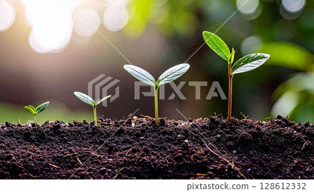 The budding of young leaves depicts the stage of growth The budding of young leaves depicts the stage of growth 128612332