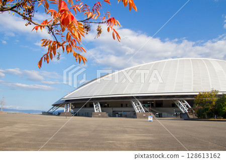 Oita Dome Stadium and autumn leaves Oita Dome Stadium and autumn leaves 128613162