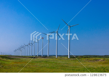 [Hokkaido_Oloron Line] Otonrui Wind Power Plant and Daylilies in Full Bloom 128613673