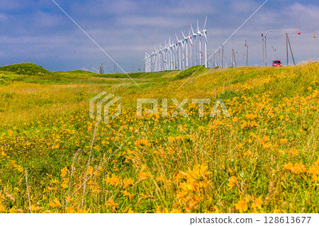 [Hokkaido_Oloron Line] Otonrui Wind Power Plant and Daylilies in Full Bloom 128613677