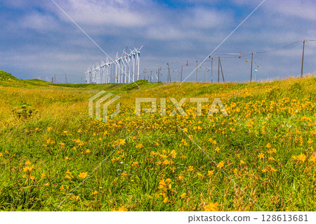 [Hokkaido_Oloron Line] Otonrui Wind Power Plant and Daylilies in Full Bloom 128613681