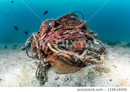 Abandoned tangled rope of fishing net or ghost net cover on hard coral 128614040