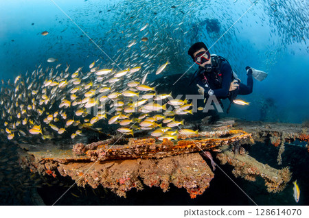 School of yellowstripe scad fish with male scuba diver swimming over HTMS Kledkaeo ship wreck 128614070