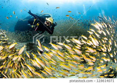 Asian female scuba diver swimming with a massive school of yellowstripe scad fish 128614071