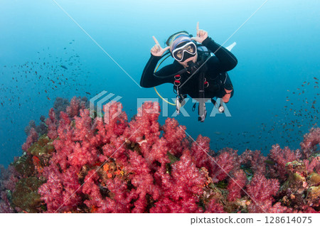 Asian female scuba diver diving over red soft coral reef at Hin Daeng, Thailand. 128614075