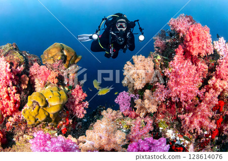 Female scuba diver holding underwater camera among colorful soft coral in Thailand. 128614076