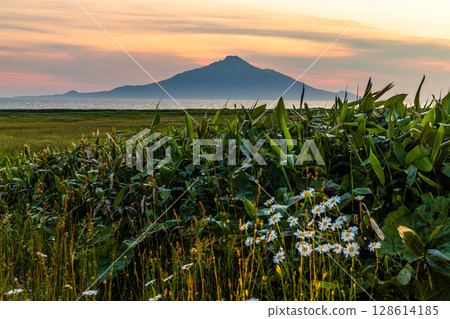 [Hokkaido_Oloron Line] Sunset seen from the Ororon Line on Rishiri Island 128614185