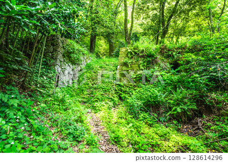 [World Heritage Iwami Ginzan Silver Mine Site and its Cultural Landscape] Shimizudani Smelter and Ore Dressing Plant Ruins in Early Summer 1, Oda City, Shimane Prefecture 128614296