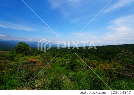 view from top of mountain 128614547
