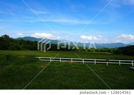 Grassland and white fence 128614561