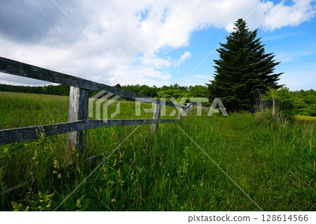 Grassland and white fence Grassland and white fence 128614566