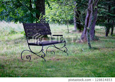 Bench surrounded by trees in a serene forest setting during early morning light 128614853