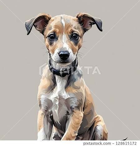 Cute sitting Whippet puppy 128615172