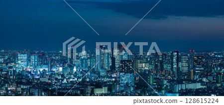 東京新宿夜景全景 東京新宿夜景全景 128615224