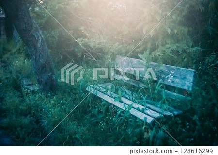 破舊的公園長椅 128616299