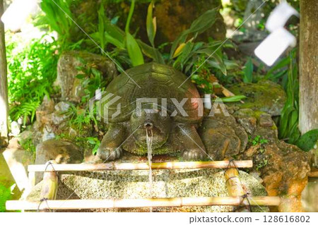 A summer morning at Matsuo Taisha Shrine 128616802