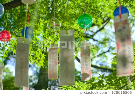 A summer morning at Matsuo Taisha Shrine 128616806