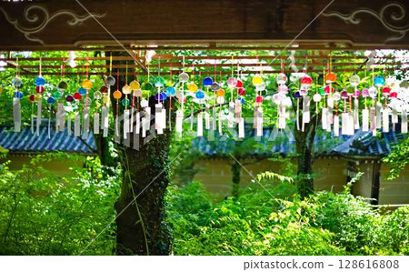 A summer morning at Matsuo Taisha Shrine 128616808