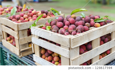 Fresh lychee fruit in wooden crates ready for export showing processed agriculture produce with vibrant colors and natural leaves 128617394